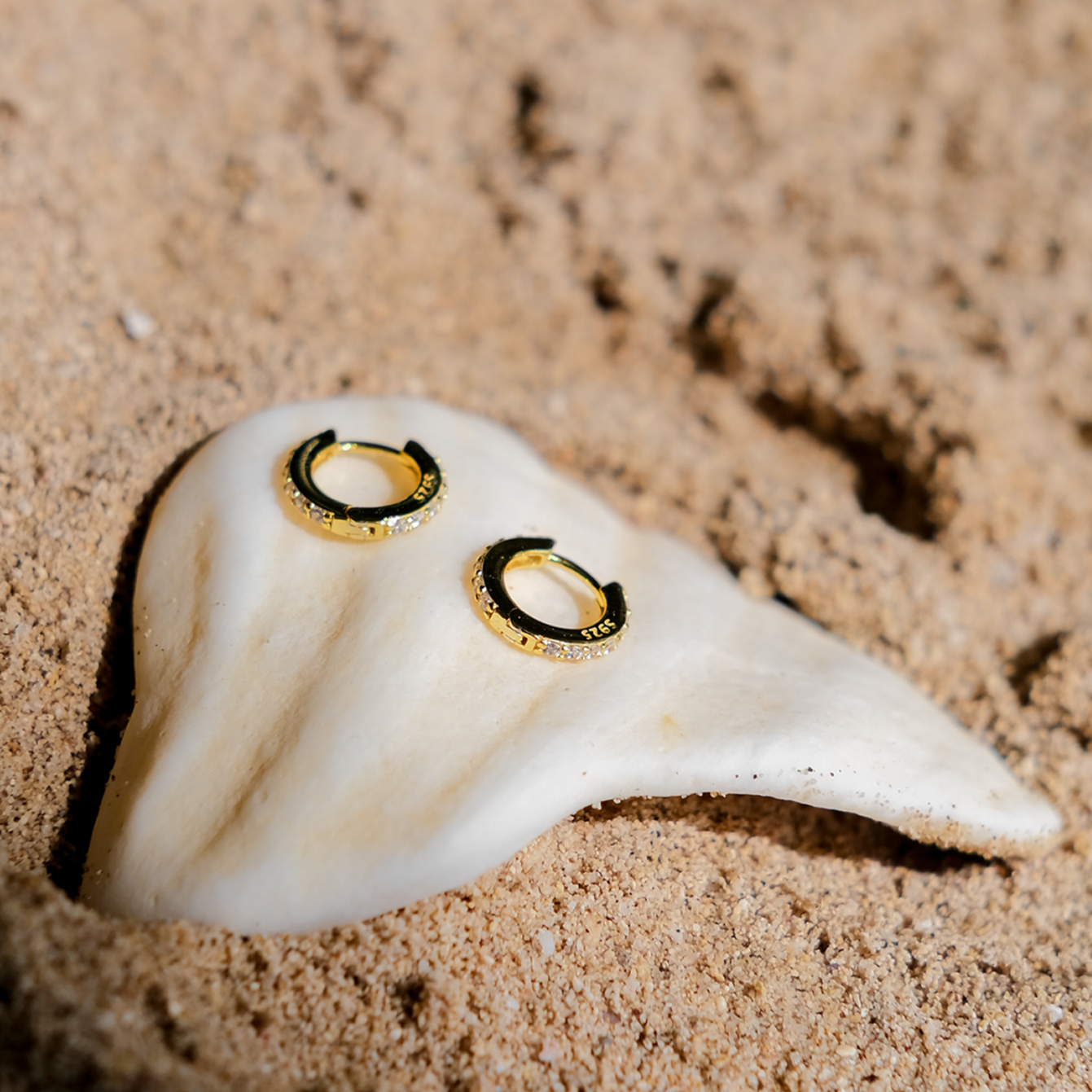 Terra Huggie Boucles d'Oreilles